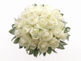 Flower Party